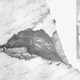 Illustration for article titled The Red Lady of Paviland Has Been Causing Arguments for 200 Years